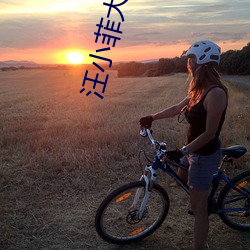汪小菲(菲)大(大)S事件