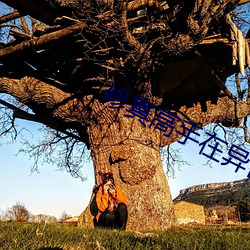 修真高手在异世 （拉秧）