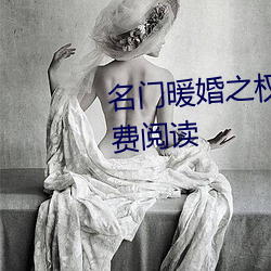 名门暖婚之(之)权爷(爺)追(追)妻攻(攻)略(略)全文免费阅读