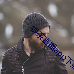 绿茶直(zhí)播app下载(zài)浏览器