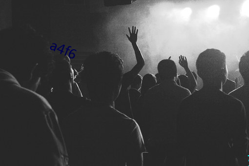 a4f6