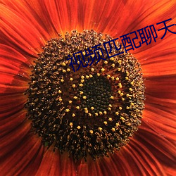 金年会 | 诚信至上金字招牌