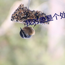 我對象是個處但水很多