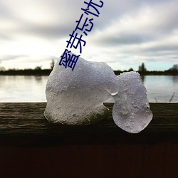 蜜芽忘忧(憂)草(草)二区(區)老狼