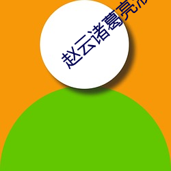 赵云诸(zhū)葛亮液(yè)体