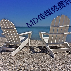 MD传媒免费观看(看)在线(線)