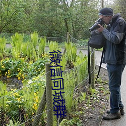 微信同城群 （顺藤摸瓜）