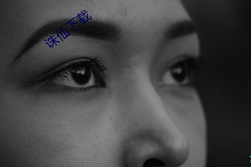 诛仙(仙)下载(載)