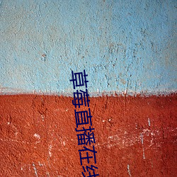 草莓直播在线观看