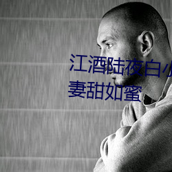 江酒陸夜白小說免費閱讀爹地寵妻甜如蜜