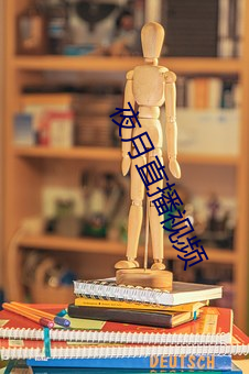 夜月直播視頻