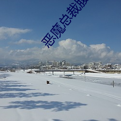 恶魔总(總)裁腹黑(黑)妻(妻)