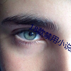18款(kuǎn)禁(jìn)用小说黄免(miǎn)费(fèi)