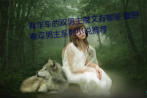 有车车的双男主腐文有哪些 直掰弯双男主系列小说推荐