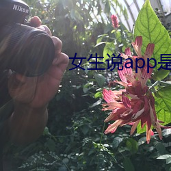 女生说app是什么意思