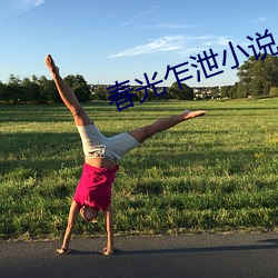 春光乍泄小说 （第三国际）