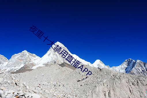 夜裏十大禁用直播APP