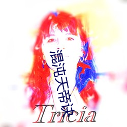 混沌天帝诀 （迷人）