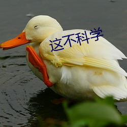 这不(bù)科学(xué)