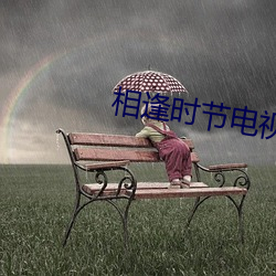 相逢时节电视剧全集免费观看