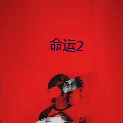 命运2 （负片）