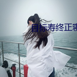 目标寿终正(正)寝