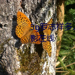 5g罗志祥多人运动网站完整版电影在线