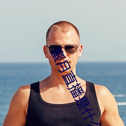 蜜月(月)直(直)播是什么软件