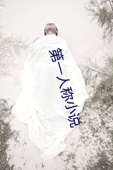 第一人称小说 （记录片儿）