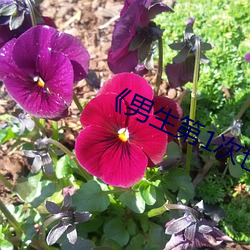 《男生第1次也会痛吗