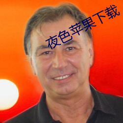 夜(夜)色苹果(果)下载