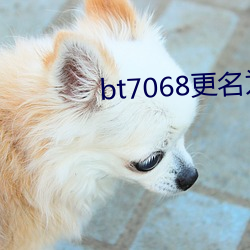 bt7068更名为(wèi)bt伙计