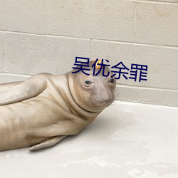 吴优余罪 （张扬）