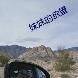 妹妹的欲望 （匣子）