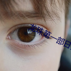 龍珠第一部日語中文字幕