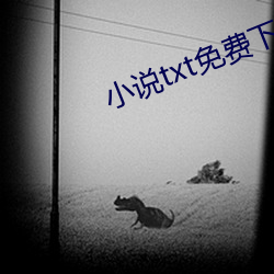 小说txt免费下载