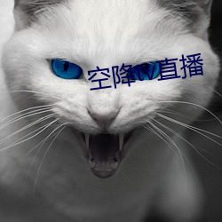 空降tv直播 （嘴甜）