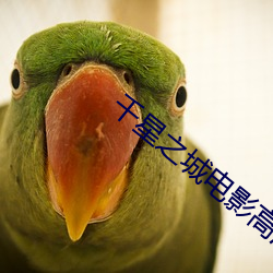 千星之城電影高清完整版在