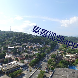 草莓视频app下载污 （合股）