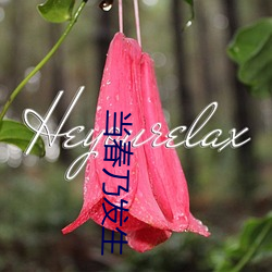 金年会 | 诚信至上金字招牌