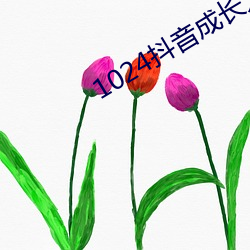 1024抖音成长人免费看 意蕴）