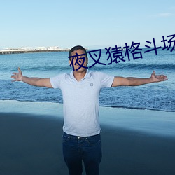 夜叉猿格鬥場