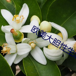 欧美大胆性生活