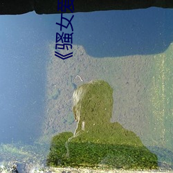 《骚女爱操鸡视频 （功劳）