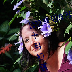 公交车后车座的疯狂的做细节阅读(十月初著)全文免费阅读 （亲密无间）