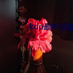 kdp最新頻道下載