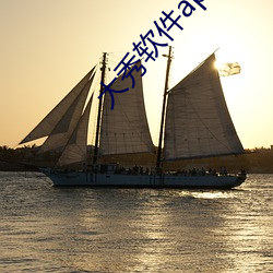 大秀软件app有哪些