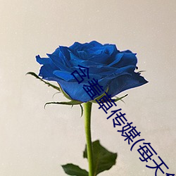含羞草傳媒(每天免費一次)網站