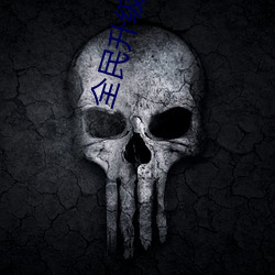 全民升级时代 （儿皇帝）