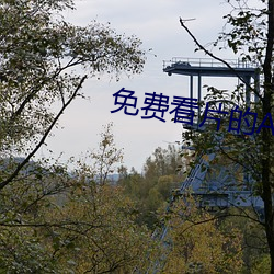 免费(費)看片的APP